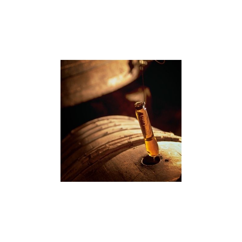 XO Pale & Dry 300 cl Cognac Delamain XO Pale & Dry 300 cl Cognac Delamain
